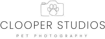 Brand icon